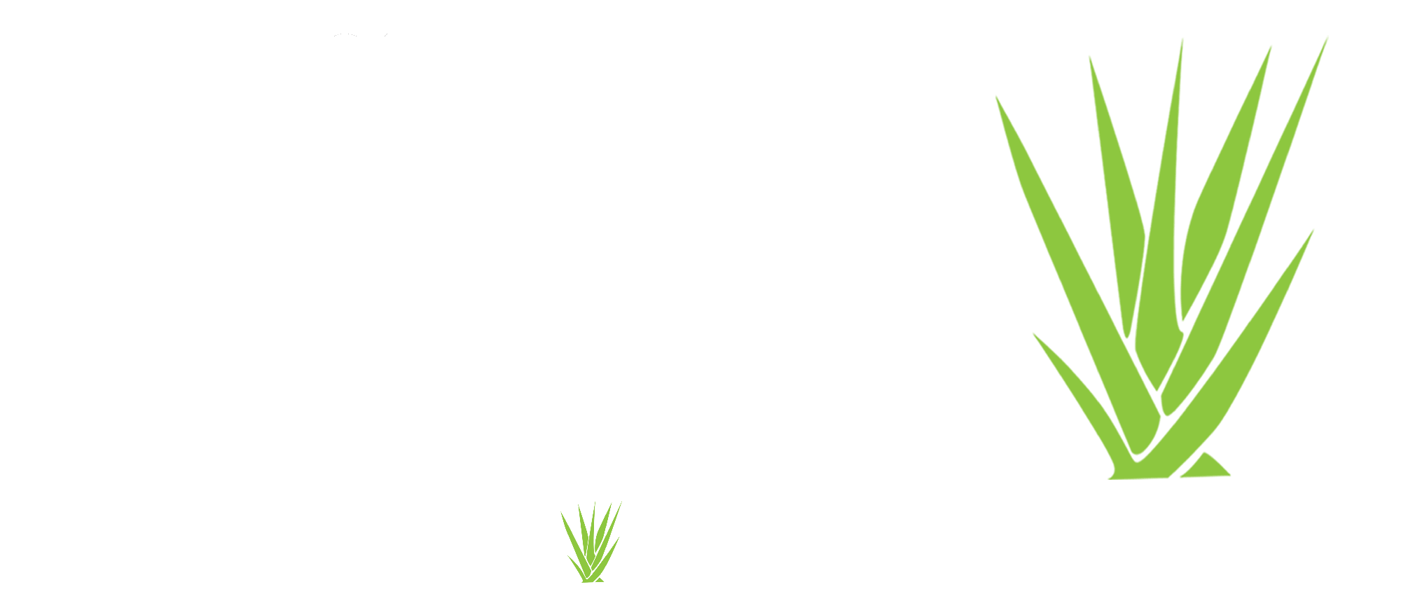 Añejo Cocina Mexicana